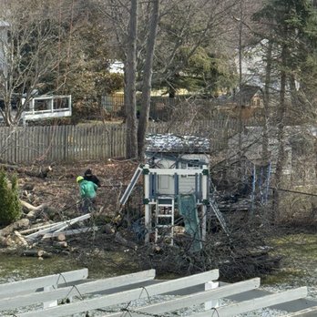 EDZ Tree Service - Damages - Tree Services Near Me