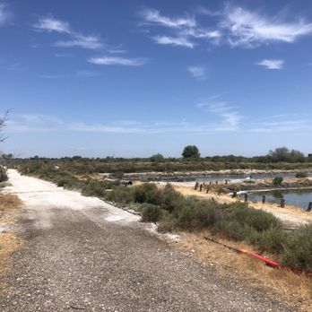Les Poissons D'argent - Other lakes where they grow/populate the fish. - Restaurants Near Me - Aigues Mortes, 30