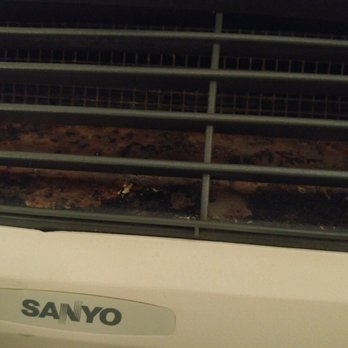 Holiday Inn Express & Suites Byram - The ac unit in room 214 was filthy. Breathe that in all night and see how ya feel. - Hotels Near Me - Byram, Mississippi Holiday Inn Express & Suites Byram - The ac unit in room 214 was filthy. Breathe that in all night and see how ya feel. - Hotels Near Me - Byram, Mississippi