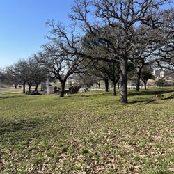 Mckenna Park - At the park facing Bonnie Brae