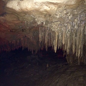 Florida Caverns State Park - Parks Near Me - Marianna, Florida Florida Caverns State Park - Parks Near Me - Marianna, Florida