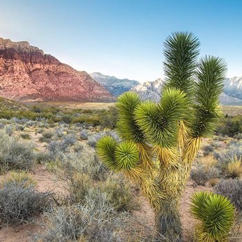 Goodsell Law Group - Wills, Trusts, & Probates Near Me - Las Vegas, Nevada Goodsell Law Group - Wills, Trusts, & Probates Near Me - Las Vegas, Nevada