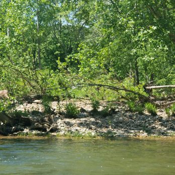 Tangent Outfitters - See the fawn on the left? - Rafting/Kayaking Near Me - Pembroke, Virginia Tangent Outfitters - See the fawn on the left? - Rafting/Kayaking Near Me - Pembroke, Virginia