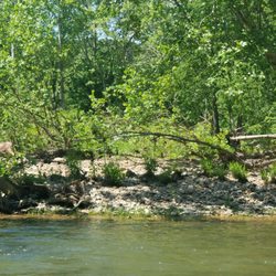 Tangent Outfitters - See the fawn on the left?