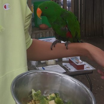 Free Flight - Animal Shelters Near Me - Del Mar, California Free Flight - Animal Shelters Near Me - Del Mar, California