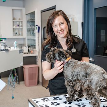GoodVets - Lohi - Veterinarians Near Me - Denver, Colorado GoodVets - Lohi - Veterinarians Near Me - Denver, Colorado