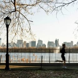 Mind Over Matter Health and Fitness - Best Fitness Trainers and Fitness Programs, boot camps, Pilates, Yoga, Prenatal Yoga, and more in NYC