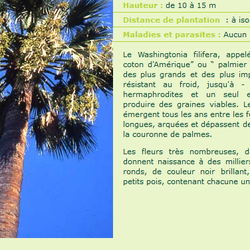 Baobab Beziers