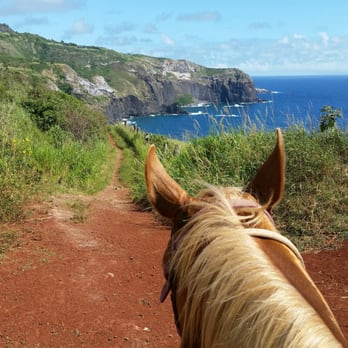 Circle M Ranch - Horseback Riding Near Me - Wailuku, Hawaii Circle M Ranch - Horseback Riding Near Me - Wailuku, Hawaii