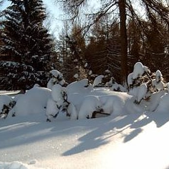 Haus Daheim - Vacation Rentals Near Me - Braunlage, NI