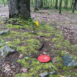 Mountainside Disc Golf at Flynt Park