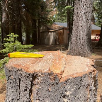 Alpenglow Tree Service - Tree Services Near Me - S Lake Tahoe, California Alpenglow Tree Service - Tree Services Near Me - S Lake Tahoe, California