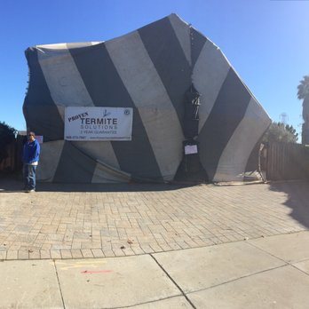 Proven Termite Solutions - 2 story home covered in less than 2 hours - Pest Control Near Me - San Jose, California