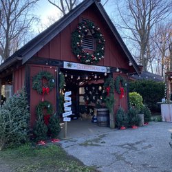 Hemlock farm christmas trees