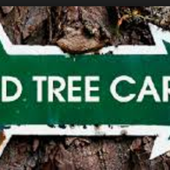 North Dallas Tree Care - This way to guaranteed satisfaction - Tree Services Near Me North Dallas Tree Care - This way to guaranteed satisfaction - Tree Services Near Me