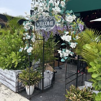 Bulegreen Cafe Yard - Entrance - Cafes Near Me - Oakland Park, Florida Bulegreen Cafe Yard - Entrance - Cafes Near Me - Oakland Park, Florida