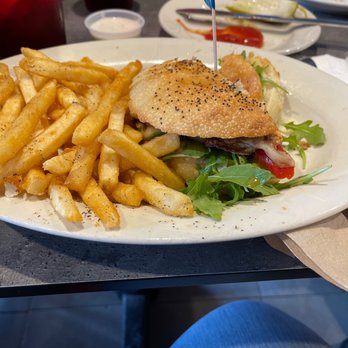 Rocco's Pizza - Rocco's Chicken Sandwich - Pizza Near Me - Hollywood, Florida Rocco's Pizza - Rocco's Chicken Sandwich - Pizza Near Me - Hollywood, Florida