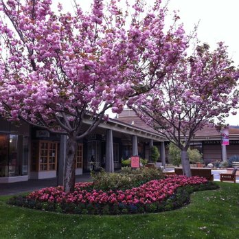 Del Monte Shopping Center - Shopping Centers Near Me - Monterey, California
