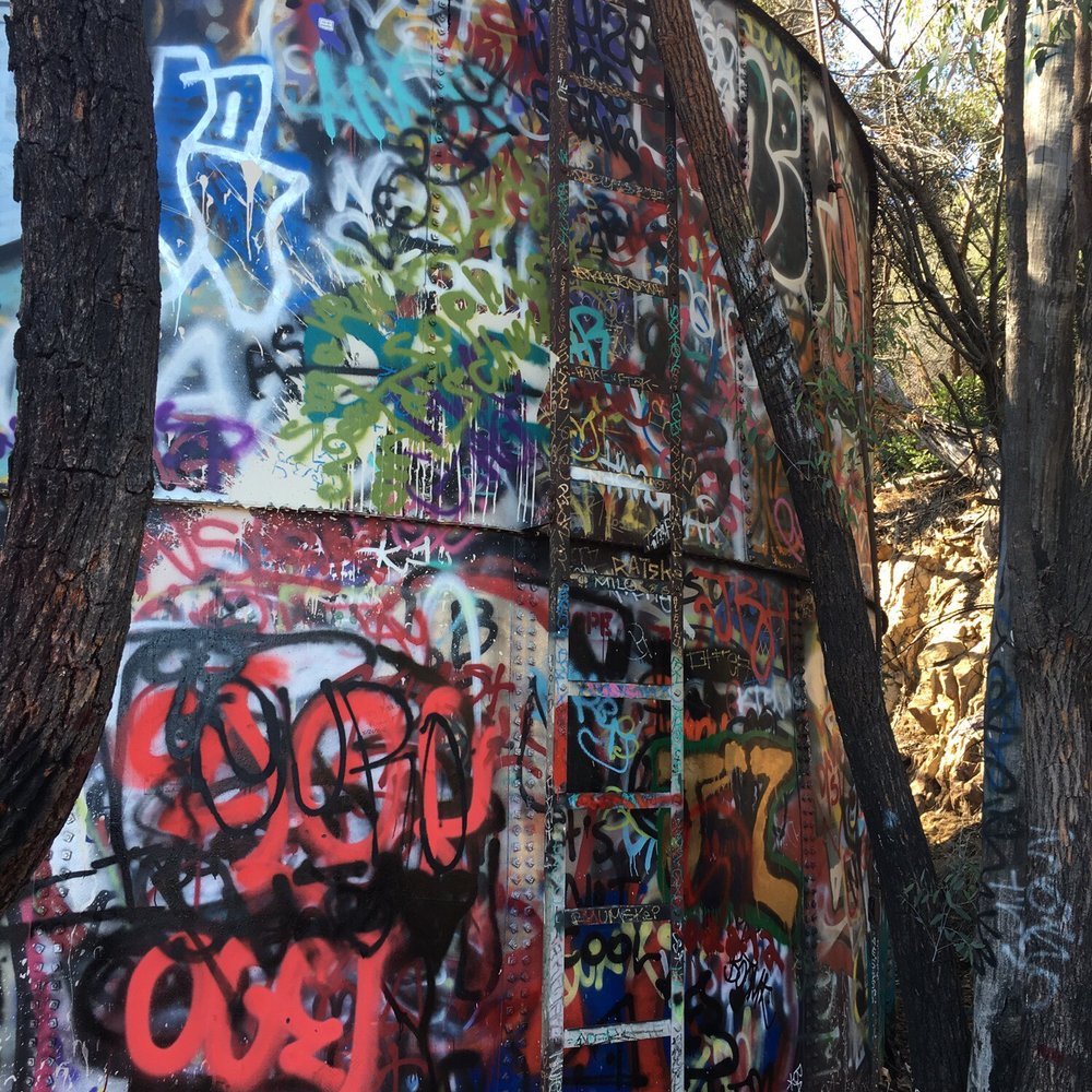 Murphy Ranch Trail - Hiking Near Me