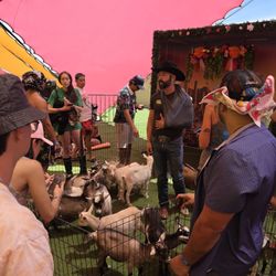 Goat Yoga Las Vegas