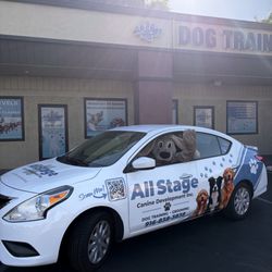 All Stage Canine Development