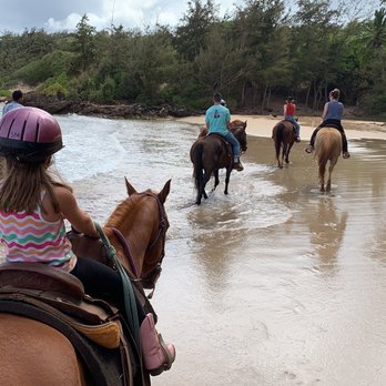 CJM Stables - Horseback Riding Near Me