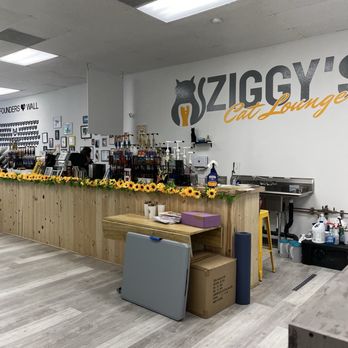 Ziggy's Cat Lounge - Pet Adoption Near Me - Bremerton, Washington Ziggy's Cat Lounge - Pet Adoption Near Me - Bremerton, Washington
