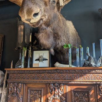 Twelve Vultures - Antiques Near Me - Minneapolis, Minnesota Twelve Vultures - Antiques Near Me - Minneapolis, Minnesota