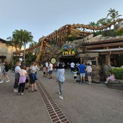 Davenport Florida Taxi Cab and Transportation - Guest At Disney Springs