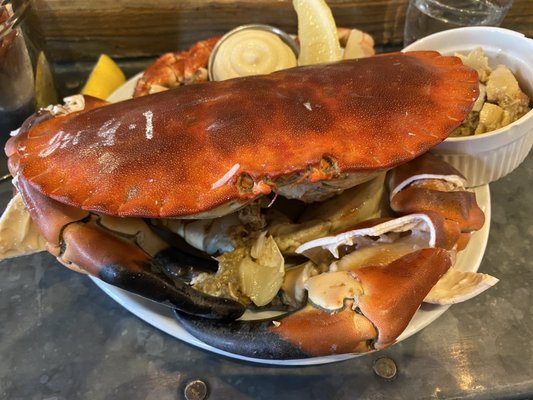 The Oystermen Seafood Bar & Kitchen by null