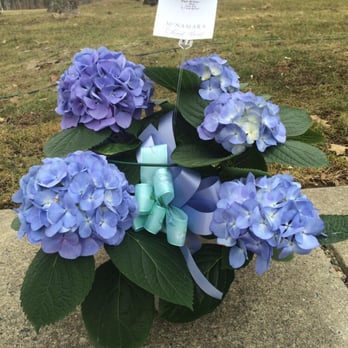 McNamara Florist - Florists Near Me - Fort Wayne, Indiana McNamara Florist - Florists Near Me - Fort Wayne, Indiana