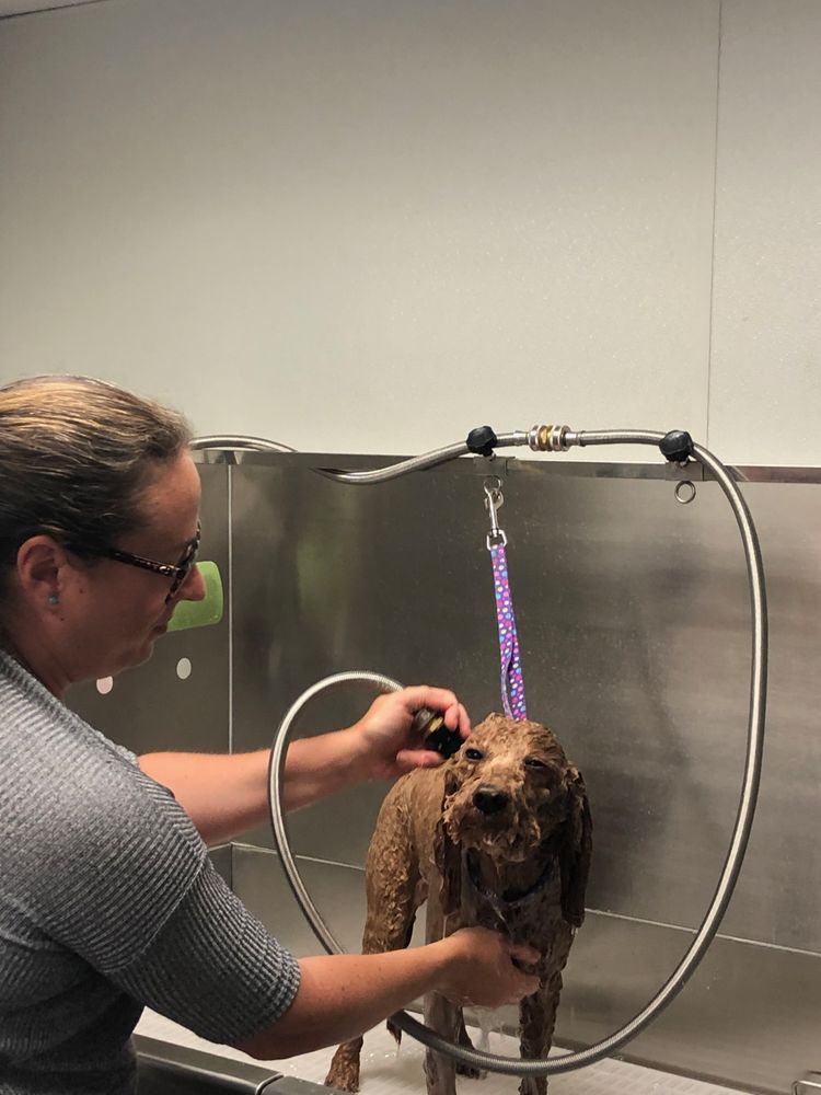 BUBBLES AND BISCUITS Updated September 2024 14 Pebble Creek Dr