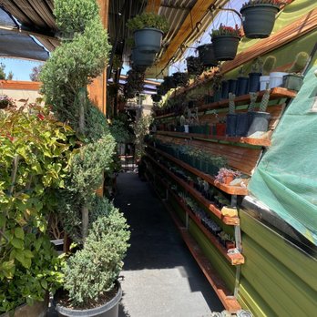 Forever Plants Plus - Nurseries & Gardening Near Me - Seaside, California