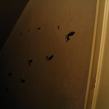 The Todd House - Creepy little footprints going down to the basement - Bed & Breakfast Near Me - Beaver, Pennsylvania