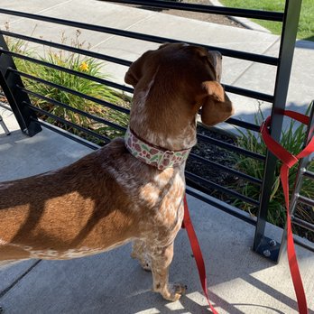 Hello Sugar - Sweet Delilah girl on the outdoor patio - Donuts Near Me - Spokane, Washington Hello Sugar - Sweet Delilah girl on the outdoor patio - Donuts Near Me - Spokane, Washington