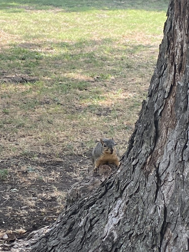 Social spots from Getzendaner Memorial Park
