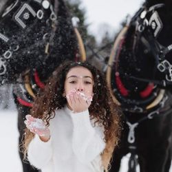 Horse and Carriage Rides of Central Ma - Photos