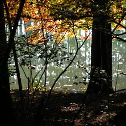 Thanninger Weiher - Herbstliche Farben, einfach schön.