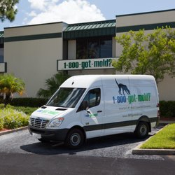 1-800-GOT-MOLD?