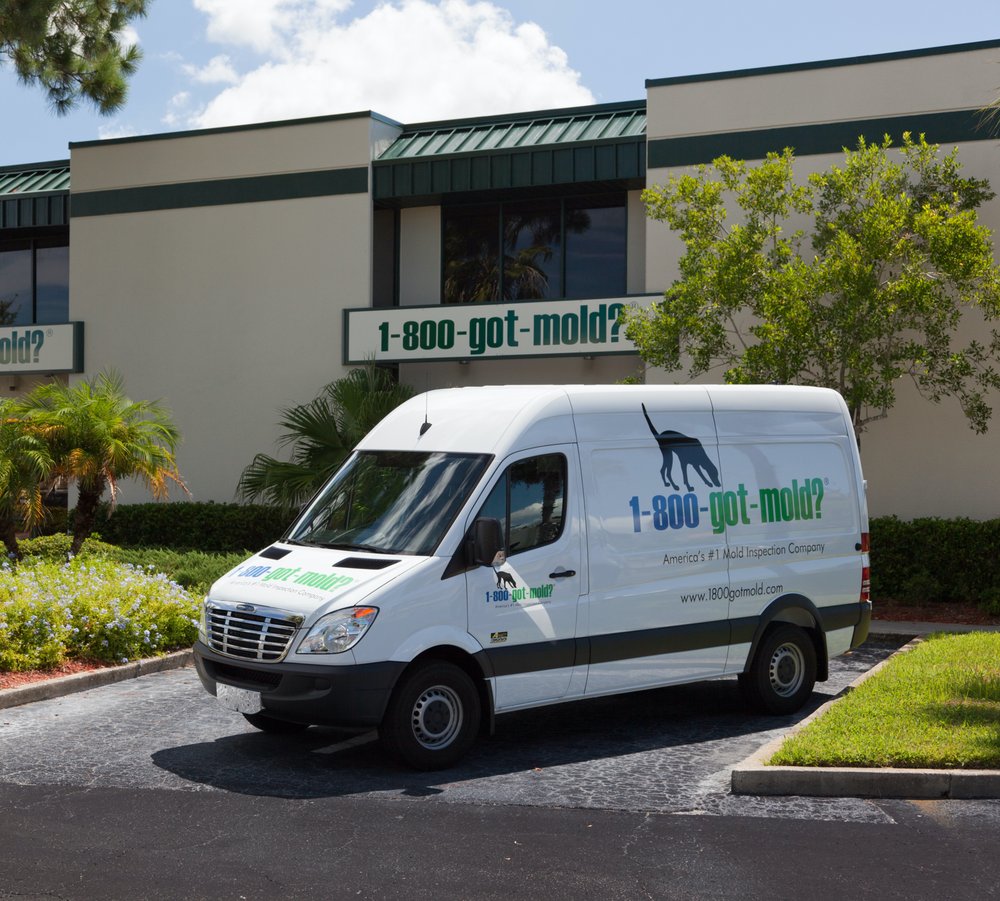 1-800-GOT-MOLD? - mold inspector in Plainsboro, NJ