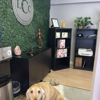Taylor Duncan, DC - TD chiropractic - Cutest dog - Chiropractors Near Me - San Diego, California Taylor Duncan, DC - TD chiropractic - Cutest dog - Chiropractors Near Me - San Diego, California