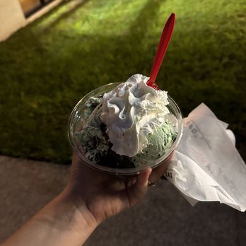 Bruster's Real Ice Cream - a hand holding a cup of ice cream - Desserts Near Me - Clermont, Florida