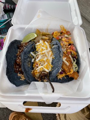 Blue Corn Tacos by null