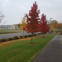 Eifel Inn - October