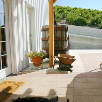 Mid.Point Winery - Rotta's beloved three-legged cat resting in the shade - Wineries Near Me - Paso Robles,, California Mid.Point Winery - Rotta's beloved three-legged cat resting in the shade - Wineries Near Me - Paso Robles,, California
