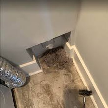 Pro Air Ductors - Air duct cleaning
Duct cleaning - Air Duct Cleaning Near Me Pro Air Ductors - Air duct cleaning
Duct cleaning - Air Duct Cleaning Near Me