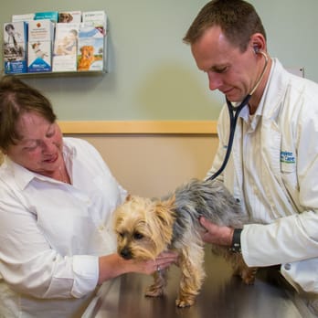 Complete Pet Care - Pet Sitting Near Me - Wake Forest, North Carolina