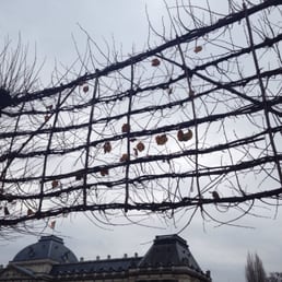 Square trees