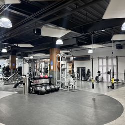 Halo Fitness - HALO Fitness features state-of-the-art machines and equipment.