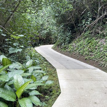 Hanalei Bay Resort - Path to Beach - Resorts Near Me - Princeville, Hawaii Hanalei Bay Resort - Path to Beach - Resorts Near Me - Princeville, Hawaii